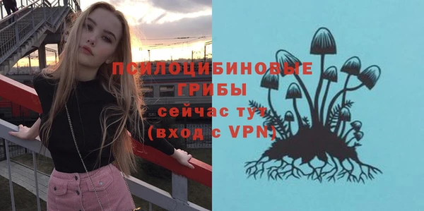 гашик Армянск