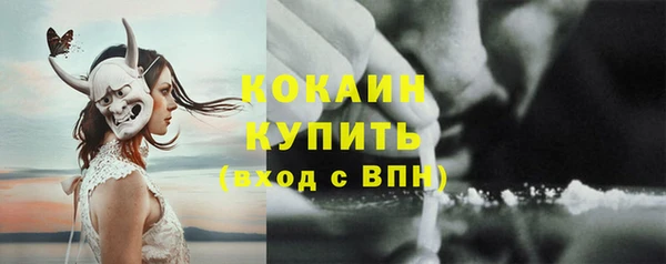 твердый Аркадак