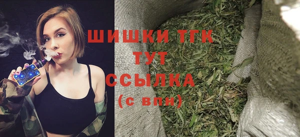 соль ск Гатчина
