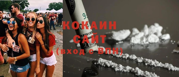 твердый Аркадак